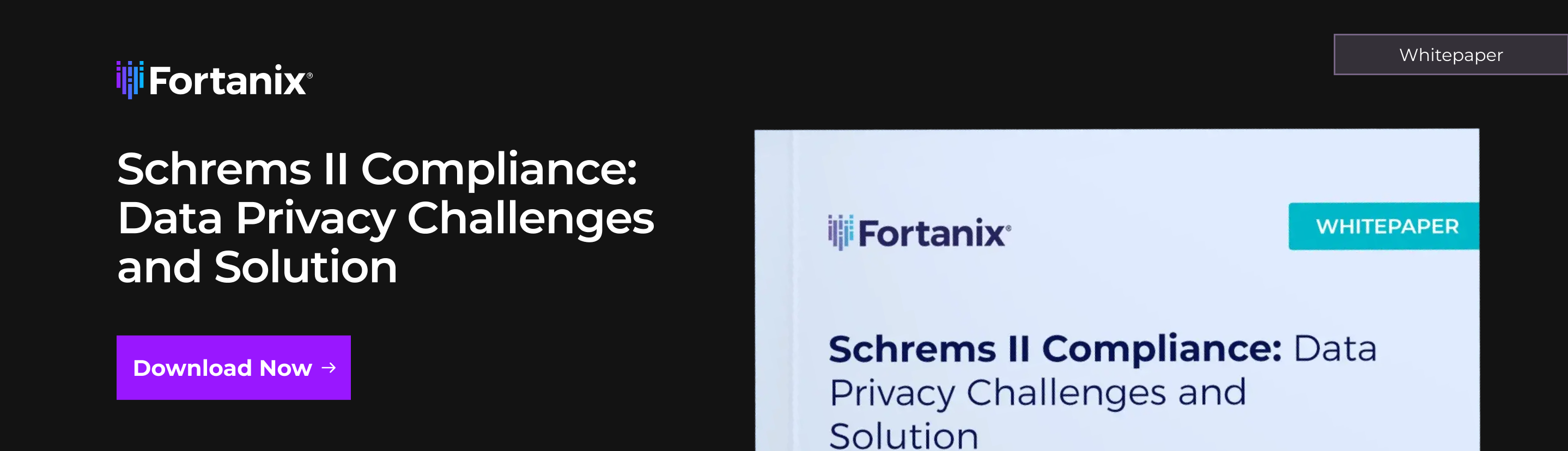 Schrems II Compliance: Data Privacy Challenges and Solution 